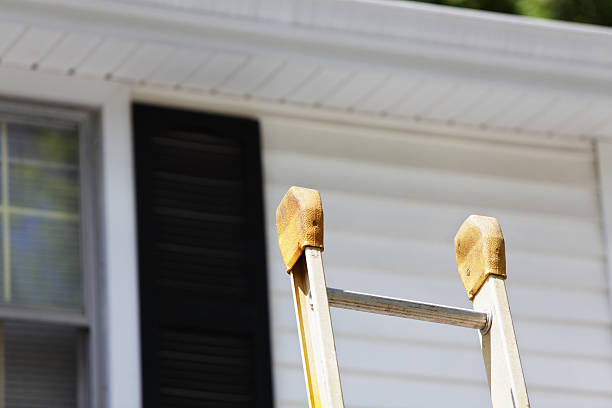 Best Siding Removal and Disposal  in Horizon West, FL